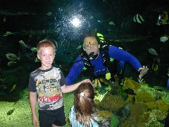 Click to see aquarium2.jpg