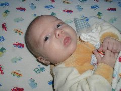 Click to see callum12_28_2001c.jpg