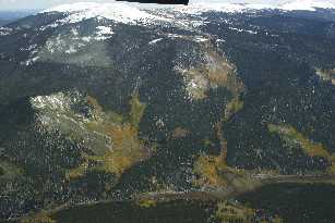 Click to see IMG_1077.JPG