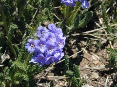 Click to see jeeping8.jpg