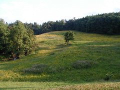 Click to see bl_wedding18.jpg