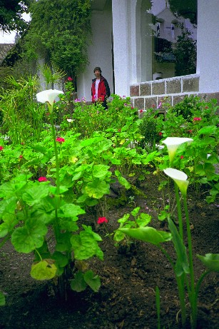 Click to see lacienega08.jpg