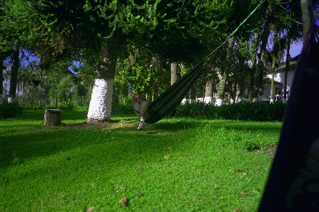 Click to see pinsaqui1.jpg